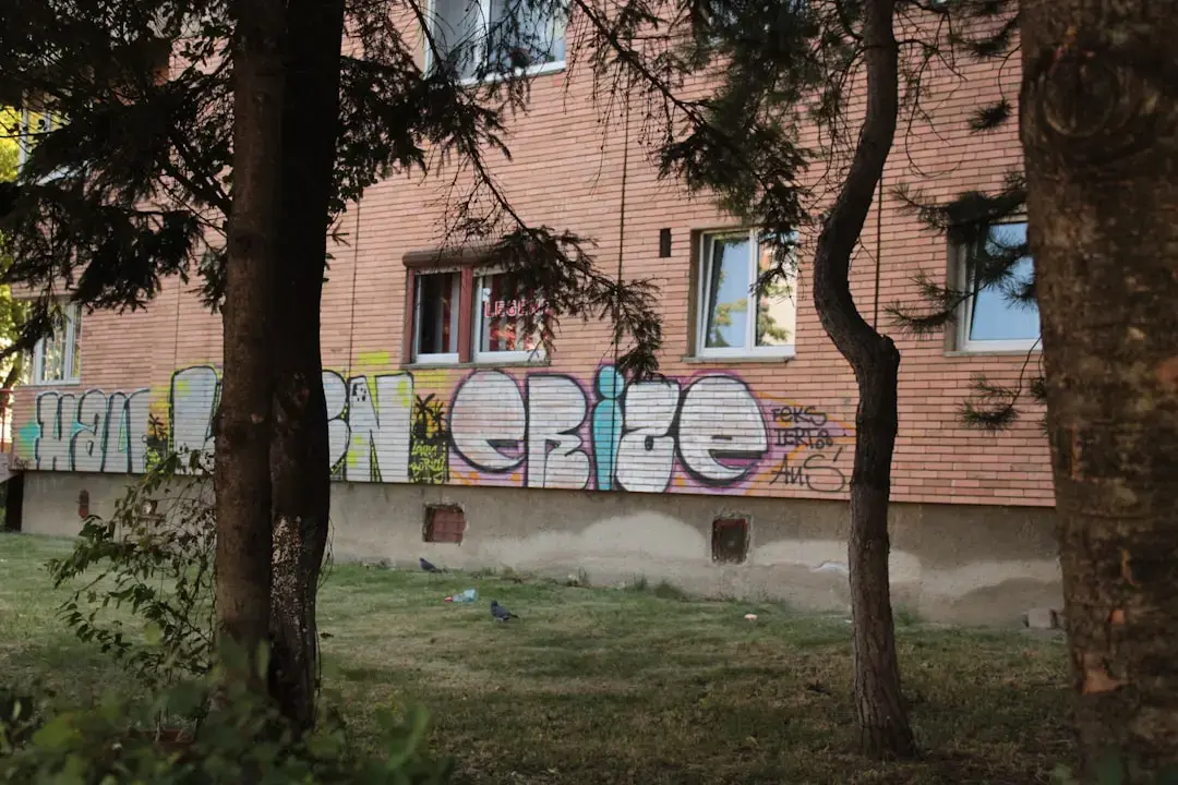 7 lucruri pe care trebuie să le știe copilul înainte de clasa pregătitoare