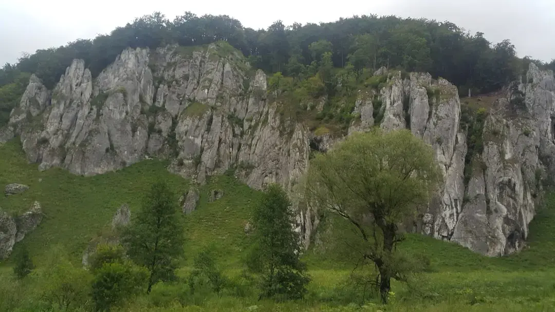 Cum să faci față adolescenților care devin independenți?