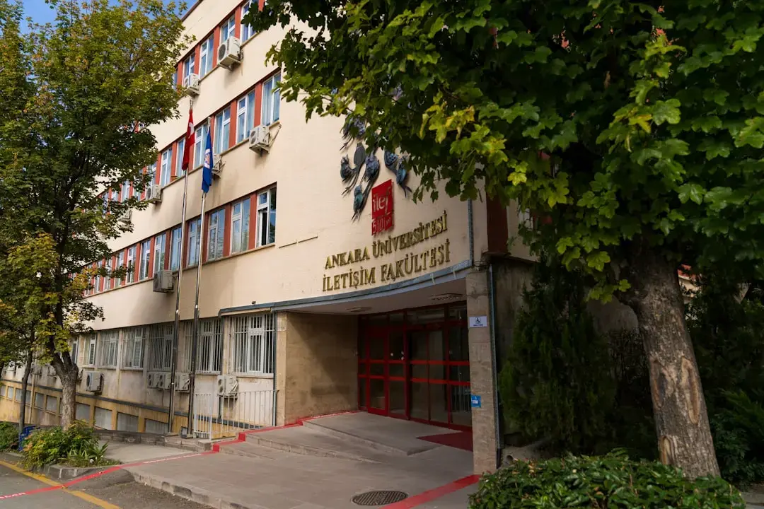 O alternativă distractivă la casele de turtă dulce pentru copii