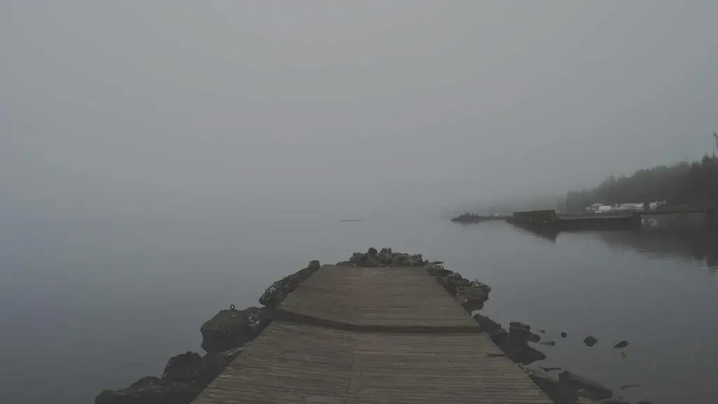 Cum se învață codarea la grădiniță prin joc