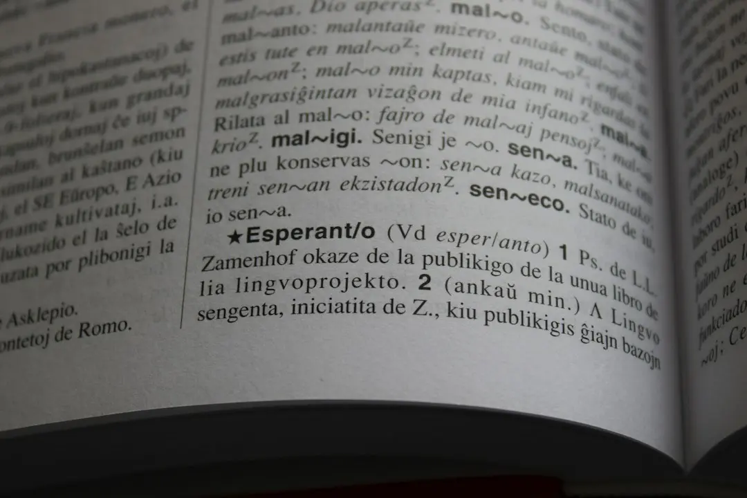 Experiența Erasmus+: Cum m-a ajutat formarea profesională din Barcelona