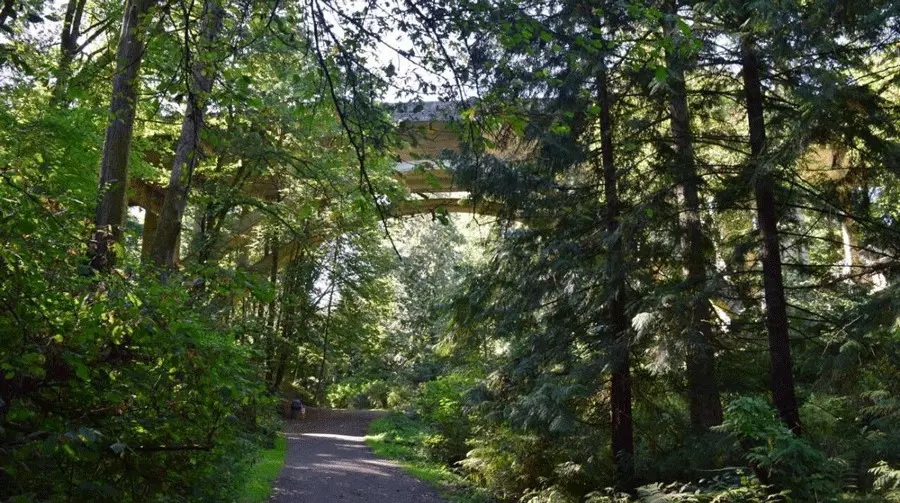 Toamna în Seattle: alternative pentru plimbări cu copii când munții sunt închise