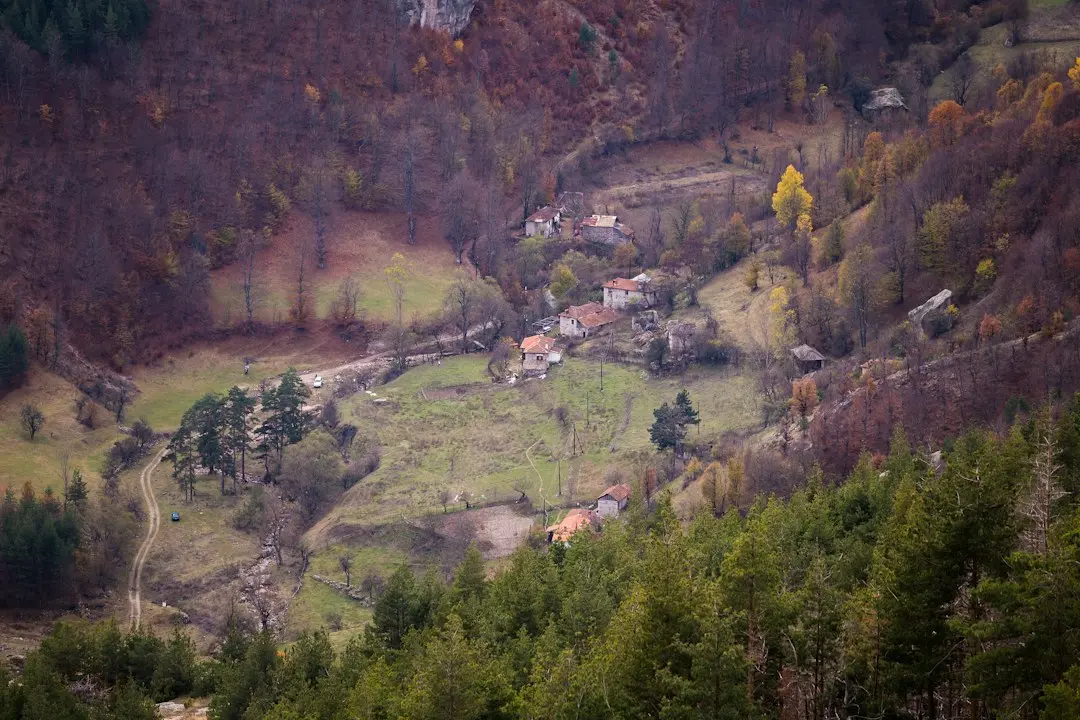 Vara fără ecrane: Idei creative pentru copii plini de energie